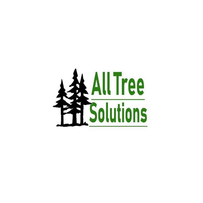 All Tree Solutions